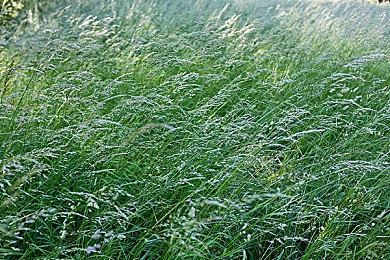 《最终幻想7》重制版第三部将保留蒂法扇耳光名场面